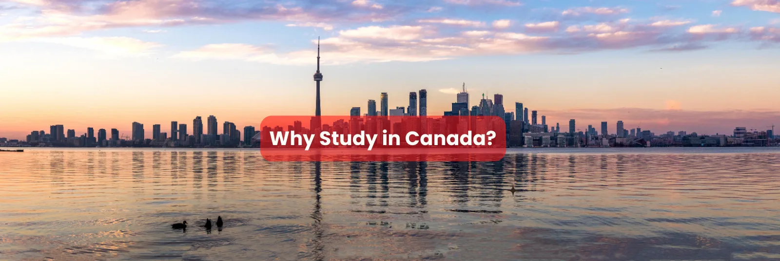 Study in Canada